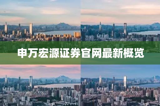 申萬(wàn)宏源證券官網(wǎng)最新概覽