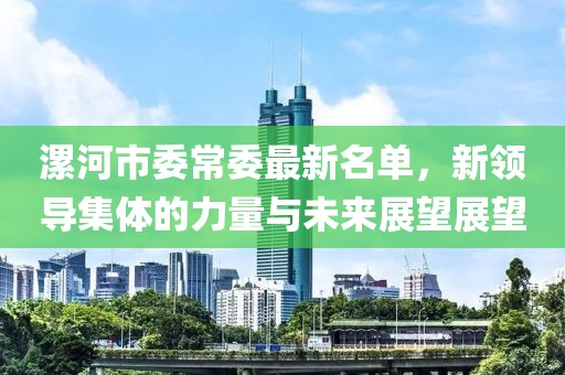 漯河市委常委最新名單，新領(lǐng)導(dǎo)集體的力量與未來展望展望