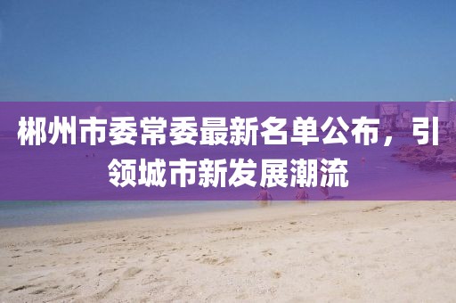 郴州市委常委最新名單公布，引領(lǐng)城市新發(fā)展潮流