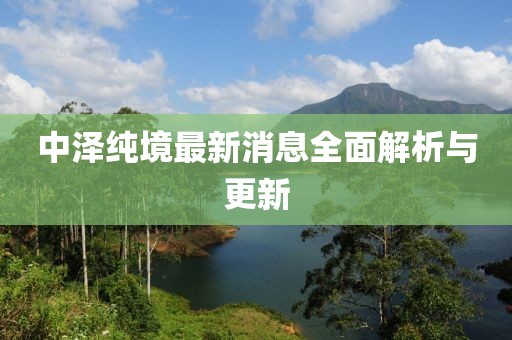 中澤純境最新消息全面解析與更新