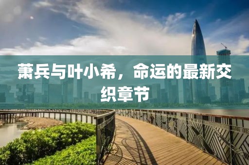 蕭兵與葉小希，命運的最新交織章節(jié)
