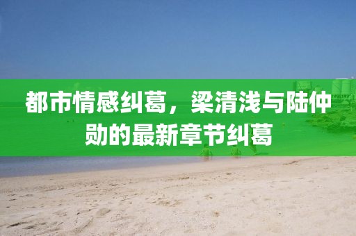 都市情感糾葛，梁清淺與陸仲勛的最新章節(jié)糾葛