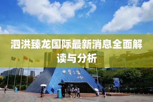泗洪臻龍國際最新消息全面解讀與分析