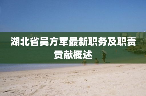 湖北省吳方軍最新職務(wù)及職責(zé)貢獻(xiàn)概述