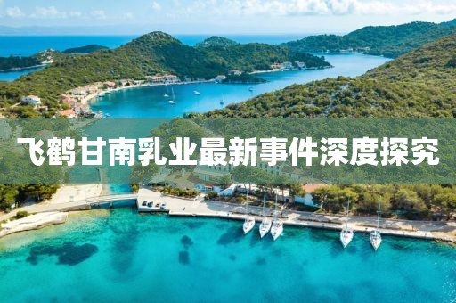 飛鶴甘南乳業(yè)最新事件深度探究