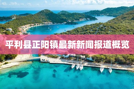 平利縣正陽鎮(zhèn)最新新聞報道概覽