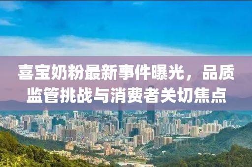 喜寶奶粉最新事件曝光，品質(zhì)監(jiān)管挑戰(zhàn)與消費者關(guān)切焦點