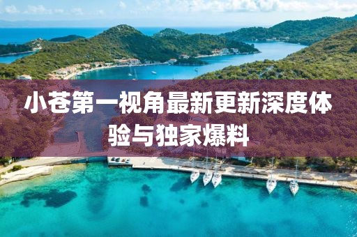 小蒼第一視角最新更新深度體驗與獨(dú)家爆料