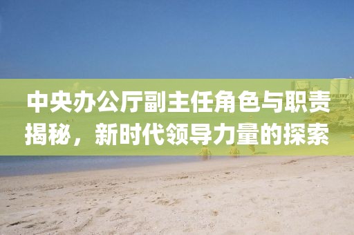 中央辦公廳副主任角色與職責(zé)揭秘，新時(shí)代領(lǐng)導(dǎo)力量的探索