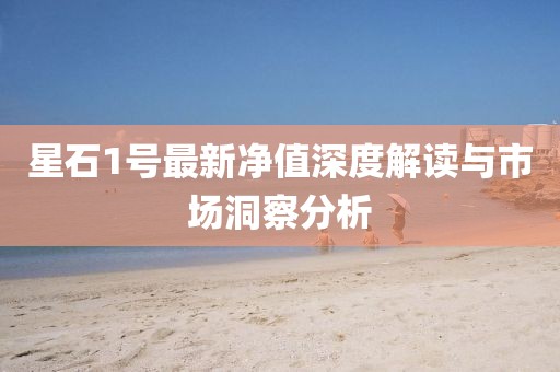 星石1號(hào)最新凈值深度解讀與市場洞察分析