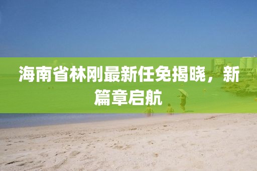 海南省林剛最新任免揭曉，新篇章啟航