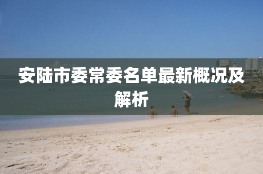 安陸市委常委名單最新概況及解析