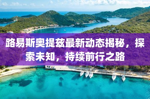 路易斯奧提茲最新動態(tài)揭秘，探索未知，持續(xù)前行之路