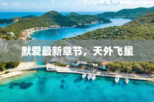 默愛最新章節(jié)，天外飛星