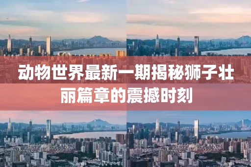 動(dòng)物世界最新一期揭秘獅子壯麗篇章的震撼時(shí)刻