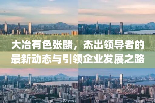 大冶有色張麟，杰出領(lǐng)導(dǎo)者的最新動(dòng)態(tài)與引領(lǐng)企業(yè)發(fā)展之路
