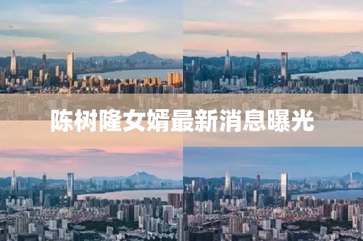 陳樹隆女婿最新消息曝光
