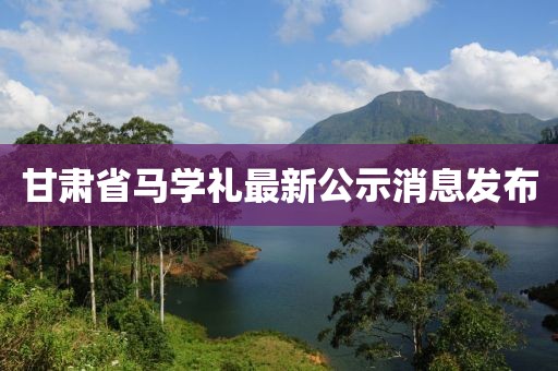 甘肅省馬學(xué)禮最新公示消息發(fā)布