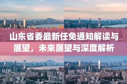 山東省委最新任免通知解讀與展望，未來(lái)展望與深度解析