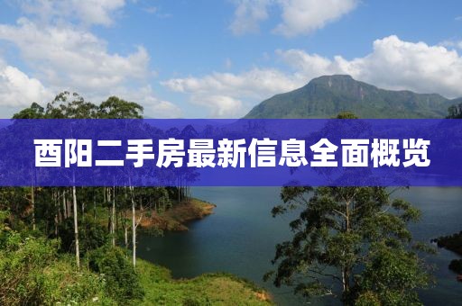 酉陽二手房最新信息全面概覽