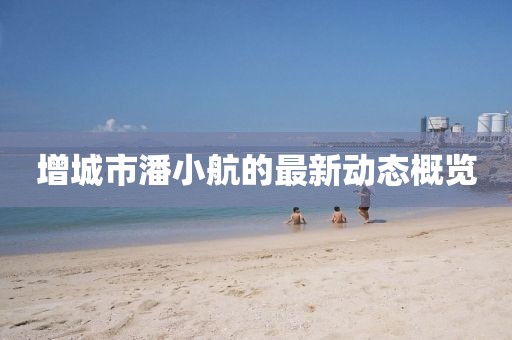 增城市潘小航的最新動態(tài)概覽