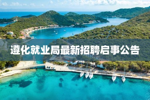 遵化就業(yè)局最新招聘啟事公告