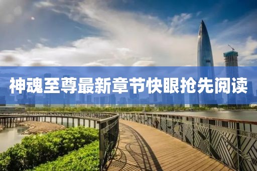 神魂至尊最新章節(jié)快眼搶先閱讀