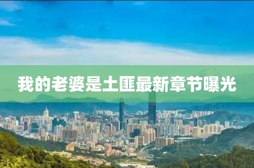 我的老婆是土匪最新章節(jié)曝光