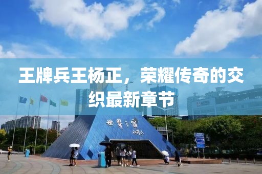 王牌兵王楊正，榮耀傳奇的交織最新章節(jié)