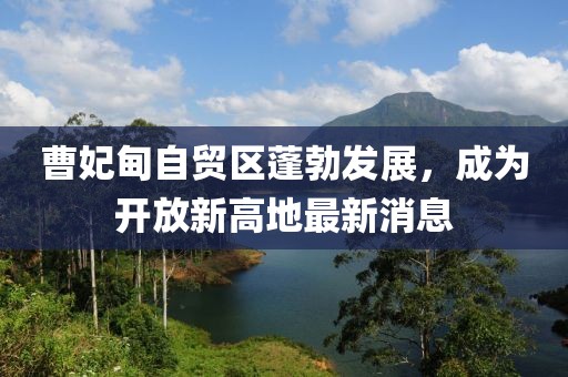 曹妃甸自貿(mào)區(qū)蓬勃發(fā)展，成為開(kāi)放新高地最新消息