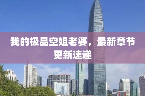 我的極品空姐老婆，最新章節(jié)更新速遞