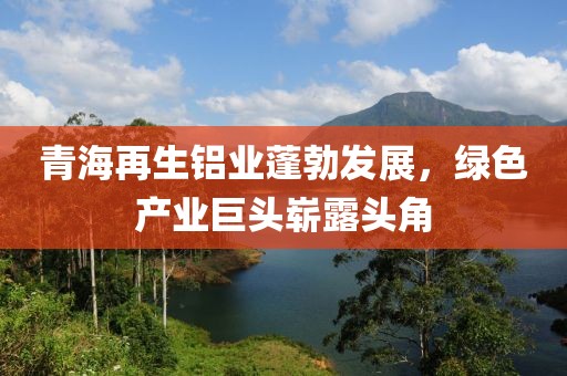青海再生鋁業(yè)蓬勃發(fā)展，綠色產(chǎn)業(yè)巨頭嶄露頭角