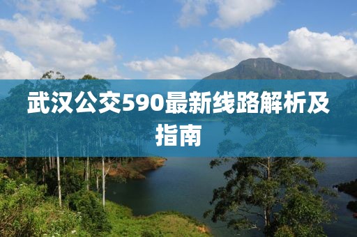 武漢公交590最新線路解析及指南