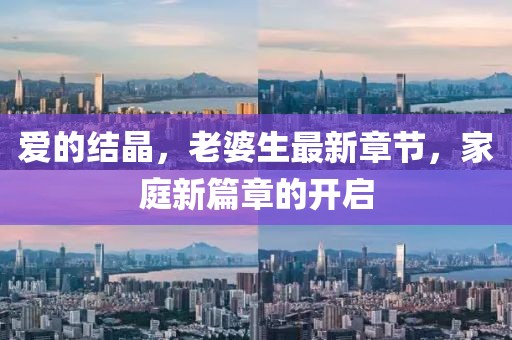 愛(ài)的結(jié)晶，老婆生最新章節(jié)，家庭新篇章的開(kāi)啟