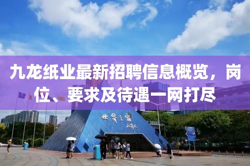 九龍紙業(yè)最新招聘信息概覽，崗位、要求及待遇一網(wǎng)打盡