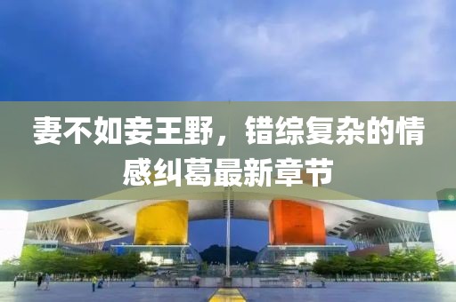 寰鸞 第11頁