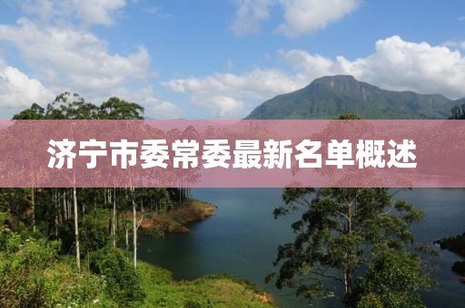 濟(jì)寧市委常委最新名單概述