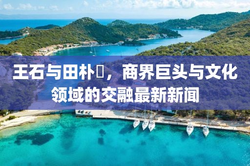 王石與田樸琤，商界巨頭與文化領(lǐng)域的交融最新新聞