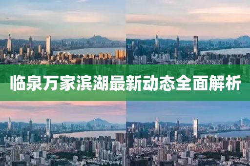臨泉萬家濱湖最新動態(tài)全面解析