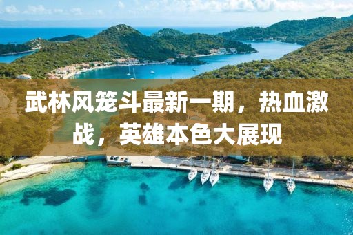 武林風籠斗最新一期，熱血激戰(zhàn)，英雄本色大展現(xiàn)
