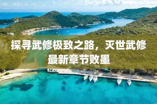 探尋武修極致之路，滅世武修最新章節(jié)敗墨