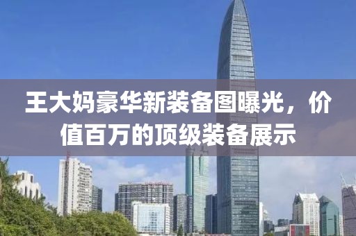 王大媽豪華新裝備圖曝光，價(jià)值百萬(wàn)的頂級(jí)裝備展示