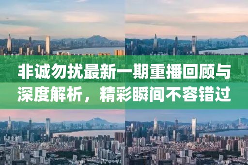 非誠(chéng)勿擾最新一期重播回顧與深度解析，精彩瞬間不容錯(cuò)過(guò)
