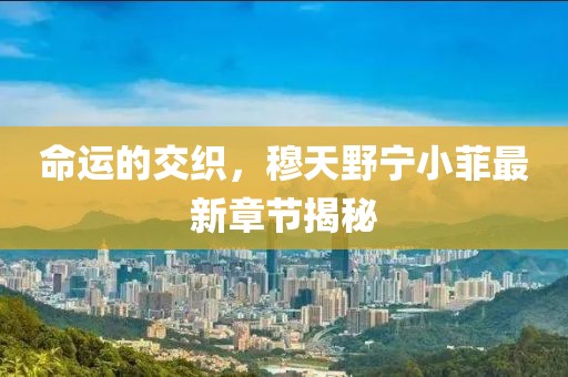 命運(yùn)的交織，穆天野寧小菲最新章節(jié)揭秘