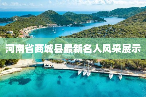 河南省商城縣最新名人風(fēng)采展示