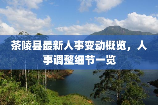 茶陵縣最新人事變動(dòng)概覽，人事調(diào)整細(xì)節(jié)一覽