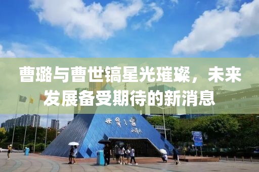 曹璐與曹世鎬星光璀璨，未來發(fā)展備受期待的新消息
