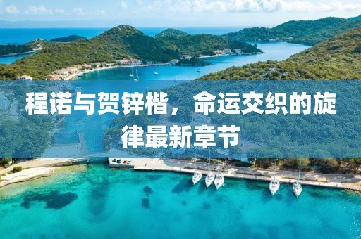 程諾與賀鋅楷，命運交織的旋律最新章節(jié)