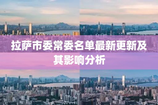 拉薩市委常委名單最新更新及其影響分析