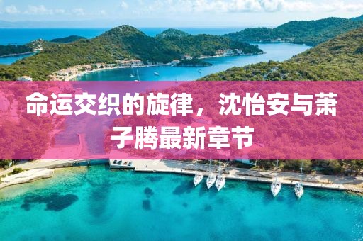 命運(yùn)交織的旋律，沈怡安與蕭子騰最新章節(jié)